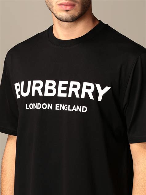 burberry t shirts price